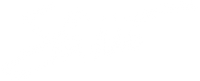 Ruth Shaw Inc
